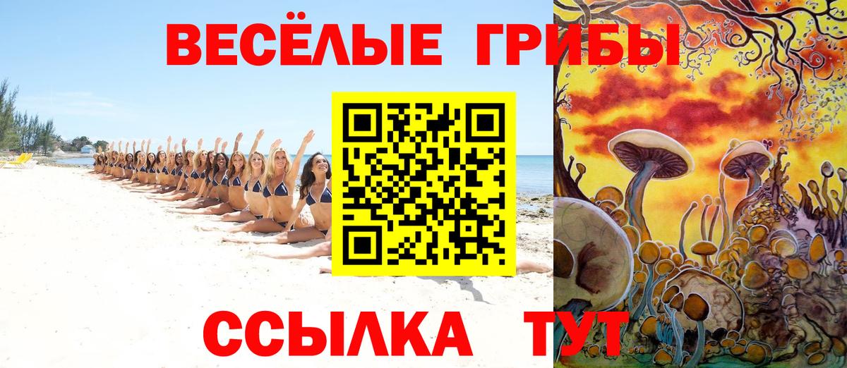 Псилоцибиновые грибы Cubensis Петропавловск-Камчатский