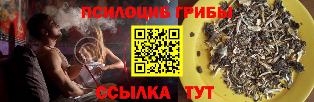 Галлюциногенные грибы ЛСД  Галлюциногенные грибы ЛСД  Петропавловск-Камчатский  Вход с VPN 